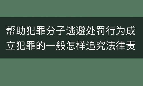 帮助犯罪分子逃避处罚行为成立犯罪的一般怎样追究法律责任