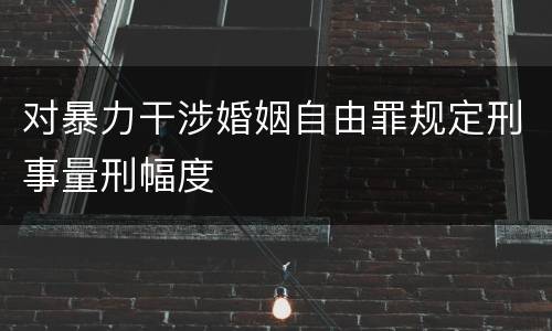 对暴力干涉婚姻自由罪规定刑事量刑幅度