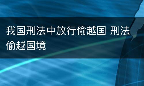 我国刑法中放行偷越国 刑法 偷越国境