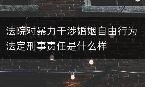 法院对暴力干涉婚姻自由行为法定刑事责任是什么样