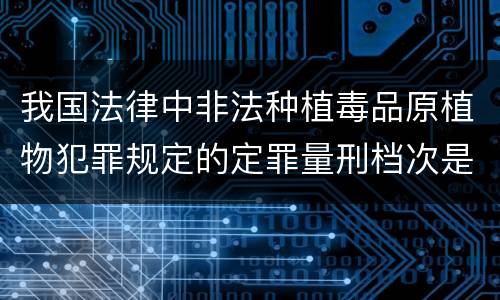 我国法律中非法种植毒品原植物犯罪规定的定罪量刑档次是什么