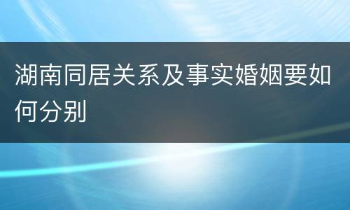 湖南同居关系及事实婚姻要如何分别