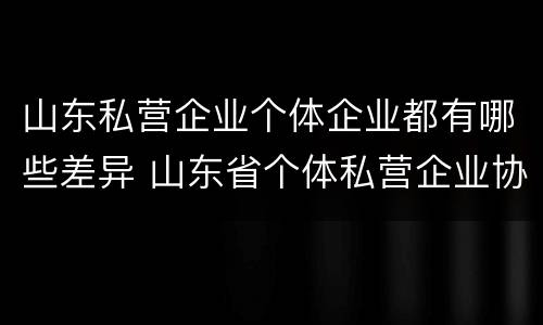 山东私营企业个体企业都有哪些差异 山东省个体私营企业协会