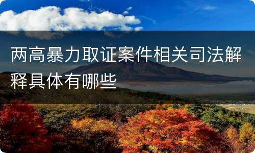 两高暴力取证案件相关司法解释具体有哪些