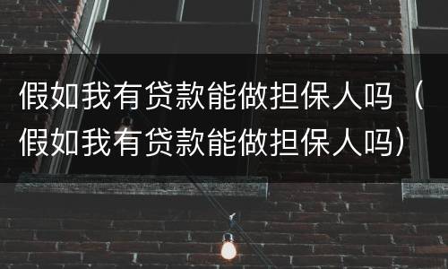 假如我有贷款能做担保人吗（假如我有贷款能做担保人吗）