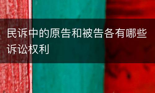 民诉中的原告和被告各有哪些诉讼权利