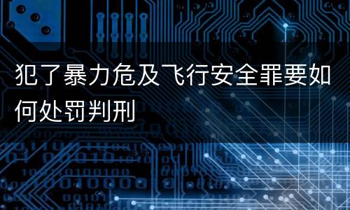 犯了暴力危及飞行安全罪要如何处罚判刑