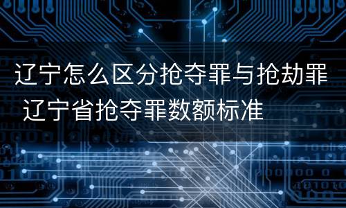 辽宁怎么区分抢夺罪与抢劫罪 辽宁省抢夺罪数额标准