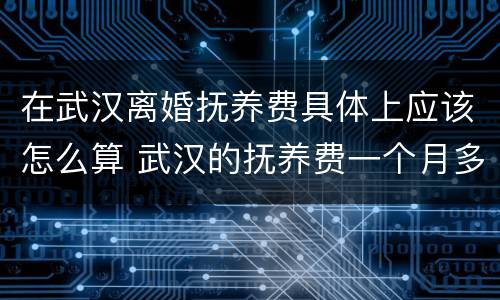 在武汉离婚抚养费具体上应该怎么算 武汉的抚养费一个月多少钱