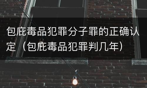 包庇毒品犯罪分子罪的正确认定（包庇毒品犯罪判几年）