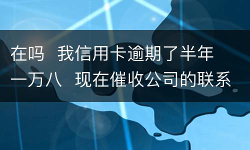 在吗  我信用卡逾期了半年  一万八  现在催收公司的联系到我  五天必须还钱