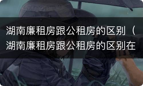 湖南廉租房跟公租房的区别（湖南廉租房跟公租房的区别在哪里）