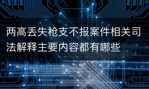 两高丢失枪支不报案件相关司法解释主要内容都有哪些