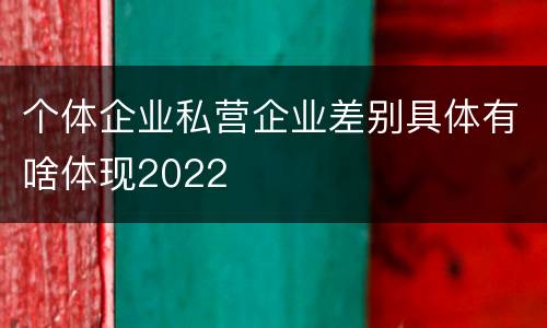 个体企业私营企业差别具体有啥体现2022