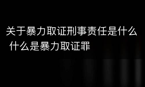 关于暴力取证刑事责任是什么 什么是暴力取证罪