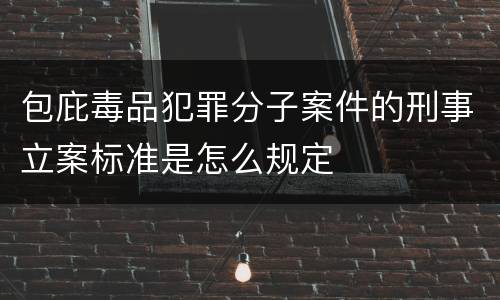 包庇毒品犯罪分子案件的刑事立案标准是怎么规定