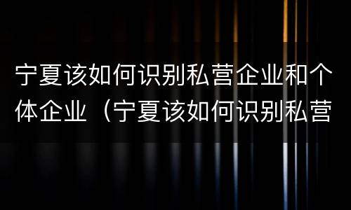 宁夏该如何识别私营企业和个体企业（宁夏该如何识别私营企业和个体企业的区别）