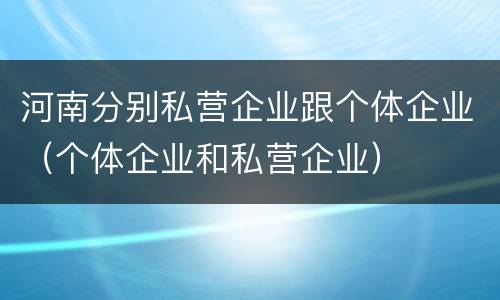 河南分别私营企业跟个体企业（个体企业和私营企业）