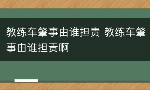 教练车肇事由谁担责 教练车肇事由谁担责啊