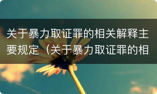 关于暴力取证罪的相关解释主要规定（关于暴力取证罪的相关解释主要规定有哪些）