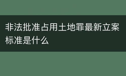 非法批准占用土地罪最新立案标准是什么