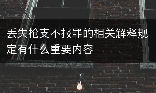 丢失枪支不报罪的相关解释规定有什么重要内容