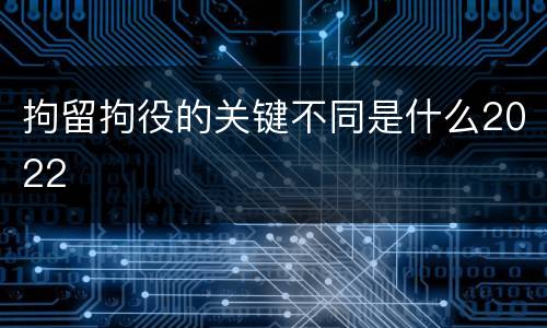 拘留拘役的关键不同是什么2022