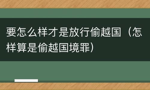 要怎么样才是放行偷越国（怎样算是偷越国境罪）