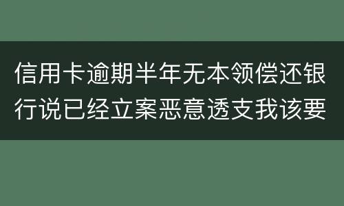 信用卡逾期半年无本领偿还银行说已经立案恶意透支我该要怎样办