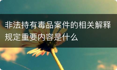 非法持有毒品案件的相关解释规定重要内容是什么