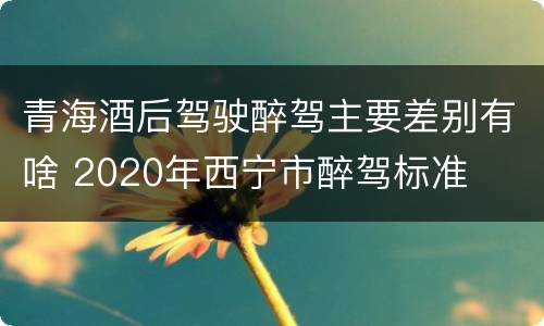 青海酒后驾驶醉驾主要差别有啥 2020年西宁市醉驾标准