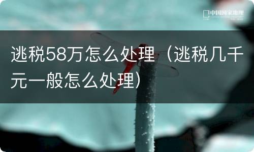 逃税58万怎么处理（逃税几千元一般怎么处理）