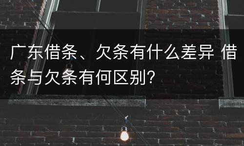 广东借条、欠条有什么差异 借条与欠条有何区别?