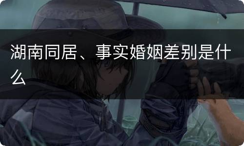 湖南同居、事实婚姻差别是什么