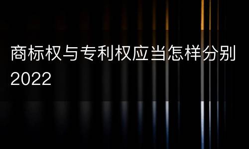 商标权与专利权应当怎样分别2022