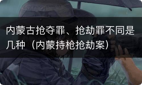 内蒙古抢夺罪、抢劫罪不同是几种（内蒙持枪抢劫案）