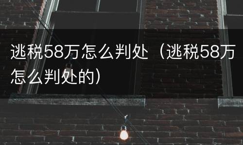 逃税58万怎么判处（逃税58万怎么判处的）