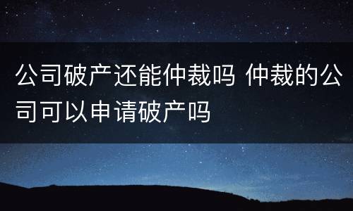 公司破产还能仲裁吗 仲裁的公司可以申请破产吗