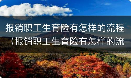 报销职工生育险有怎样的流程（报销职工生育险有怎样的流程呢）