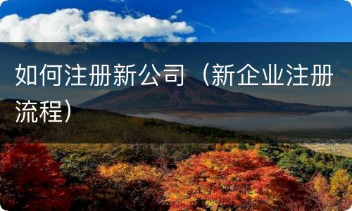 如何注册新公司（新企业注册流程）