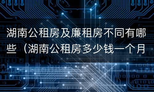 湖南公租房及廉租房不同有哪些（湖南公租房多少钱一个月）