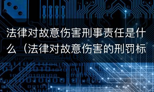 法律对故意伤害刑事责任是什么（法律对故意伤害的刑罚标准）