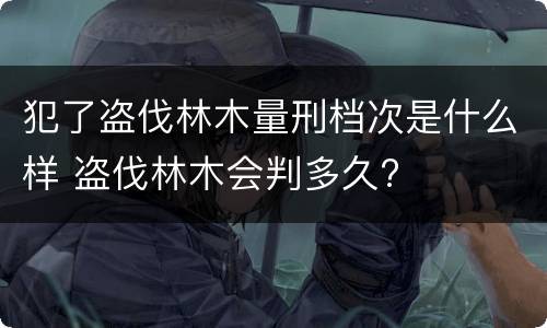 犯了盗伐林木量刑档次是什么样 盗伐林木会判多久?