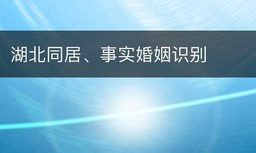 湖北同居、事实婚姻识别