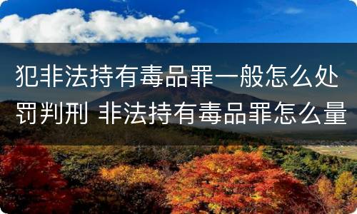 犯非法持有毒品罪一般怎么处罚判刑 非法持有毒品罪怎么量刑