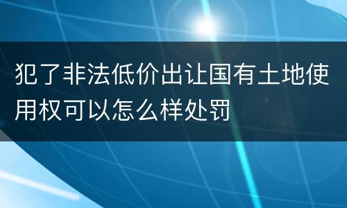 犯了非法低价出让国有土地使用权可以怎么样处罚