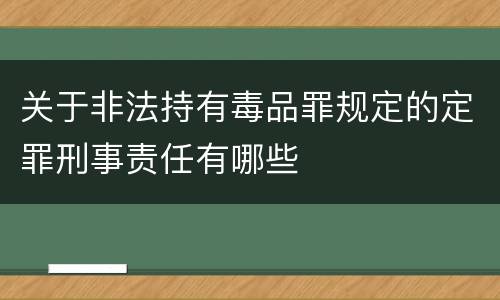 关于非法持有毒品罪规定的定罪刑事责任有哪些