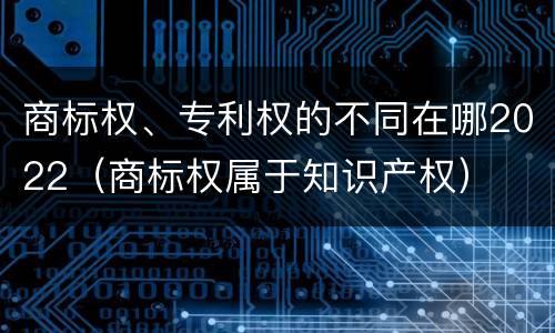 商标权、专利权的不同在哪2022（商标权属于知识产权）